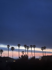 a sunset with palm trees in the background